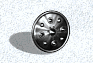 Treasures Shield