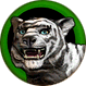 White Tiger - Level 2 Nature