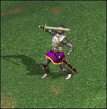 Male Knight