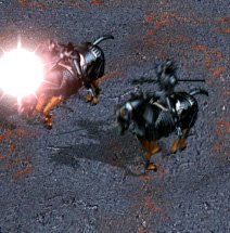 Dark Champion - Level 4 Death
