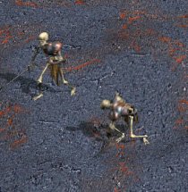 Skeleton - Level 1 Death